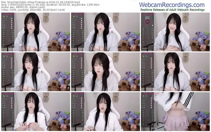 stripchat-vaness-a-12-28-2024-18-30-29