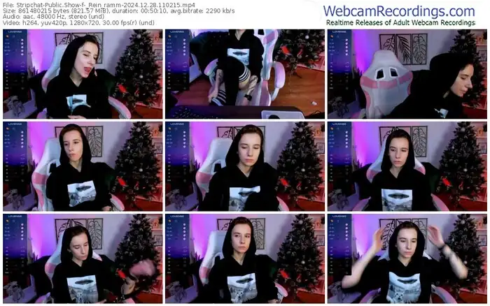 stripchat-_rein_ramm-12-28-2024-11-02-15