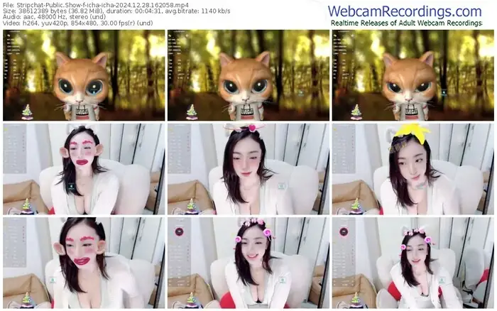 stripchat-icha-icha-12-28-2024-16-20-58