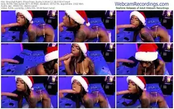 stripchat-kary_bunny3-12-28-2024-07-01-47