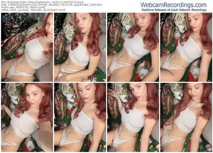 stripchat-liahstormi_-12-28-2024-00-37-16