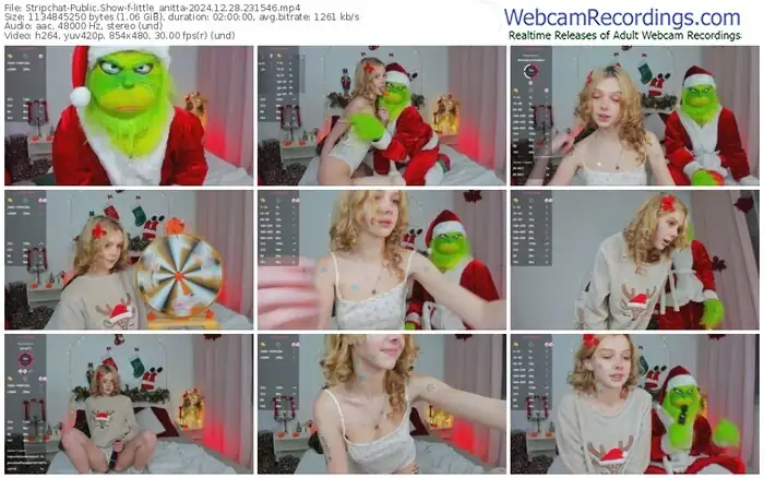 stripchat-little_anitta-12-28-2024-23-15-46