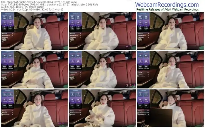 stripchat-newwell-12-28-2024-13-17-06