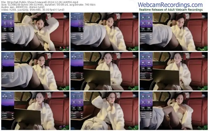 stripchat-newwell-12-28-2024-14-40-56