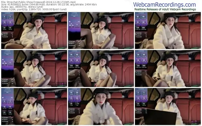 stripchat-newwell-12-28-2024-17-23-45
