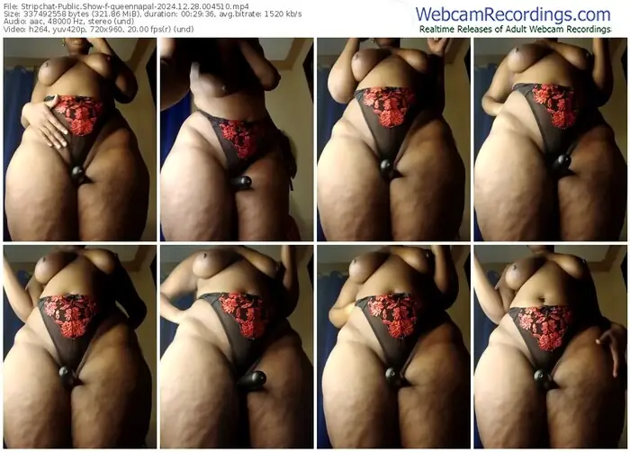 stripchat-queennapal-12-28-2024-00-45-10