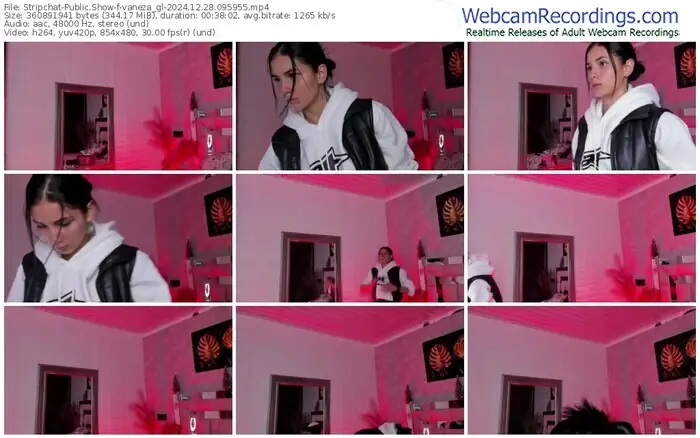 stripchat-vaneza_gl-12-28-2024-09-59-55