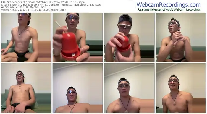 stripchat-cnyastur-12-28-2024-17-35-05