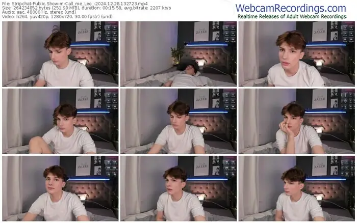 stripchat-call_me_leo_-12-28-2024-13-27-23