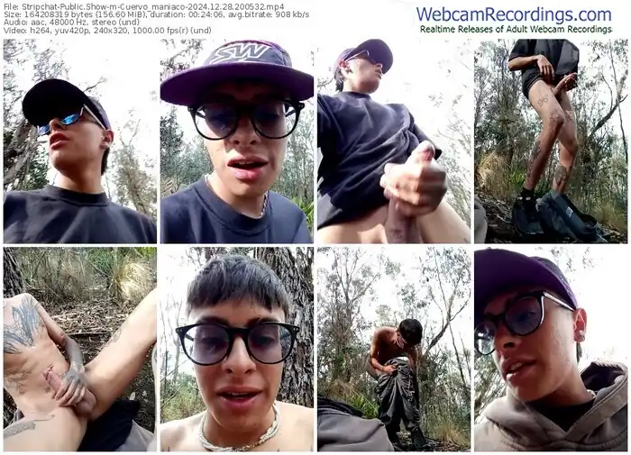 stripchat-cuervo_maniaco-12-28-2024-20-05-32