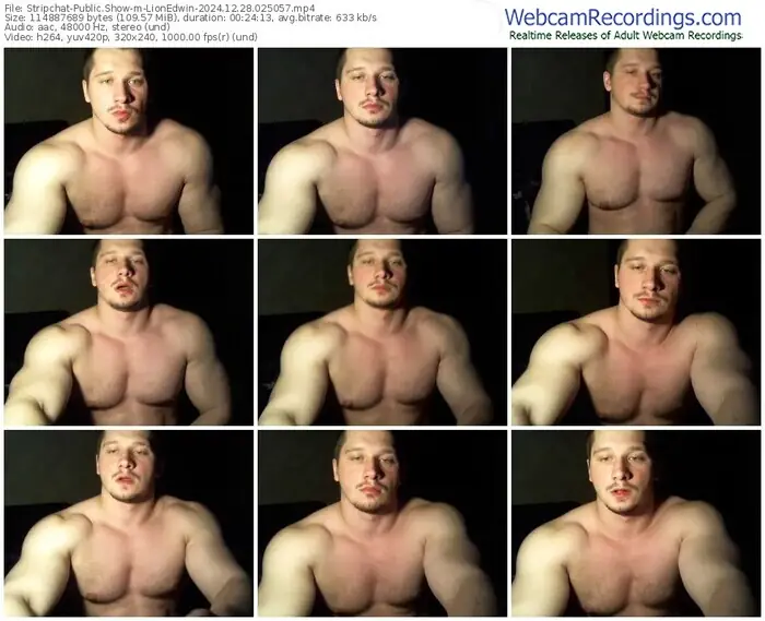 stripchat-lionedwin-12-28-2024-02-50-57