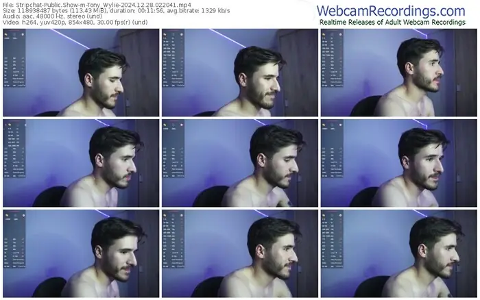 stripchat-tony_wylie-12-28-2024-02-20-41