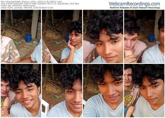 stripchat-_ottis_-12-28-2024-18-35-11