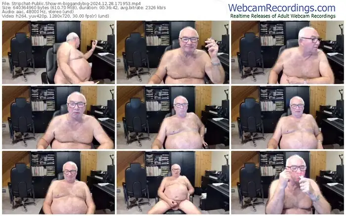 stripchat-biggandybig-12-28-2024-17-19-53