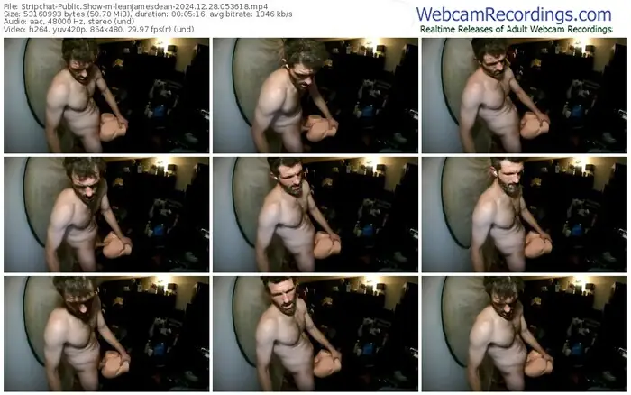 stripchat-leanjamesdean-12-28-2024-05-36-18