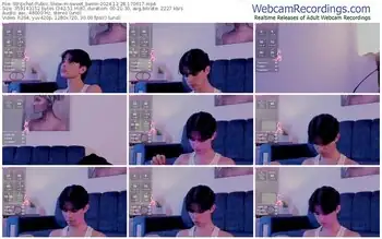 stripchat-sweet_beom-12-28-2024-17-06-17