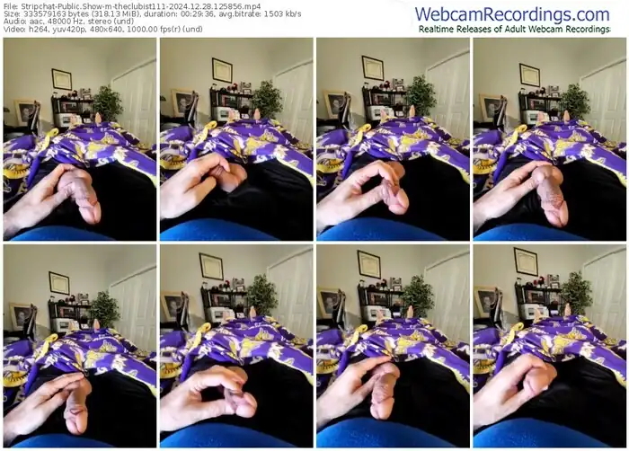 stripchat-theclubist111-12-28-2024-12-58-56