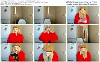stripchat-_alice_kitty-12-28-2024-12-08-43