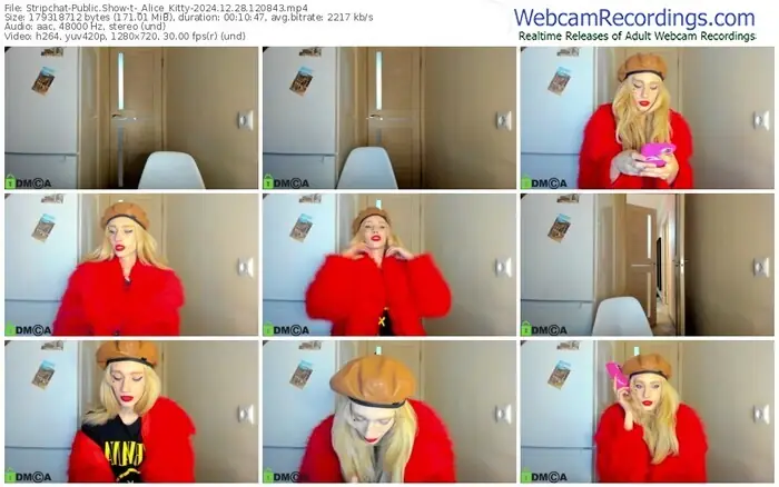 stripchat-_alice_kitty-12-28-2024-12-08-43