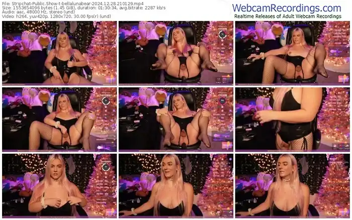 stripchat-bellalunabear-12-28-2024-21-01-29