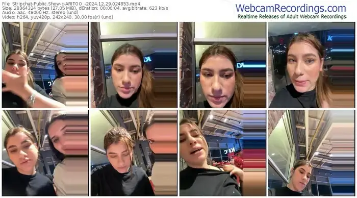 stripchat-aritoo_-12-29-2024-02-48-53