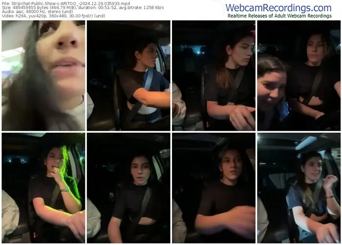 stripchat-aritoo_-12-29-2024-03-59-33
