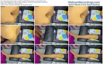 stripchat-crazy_destroyed-12-29-2024-05-05-45