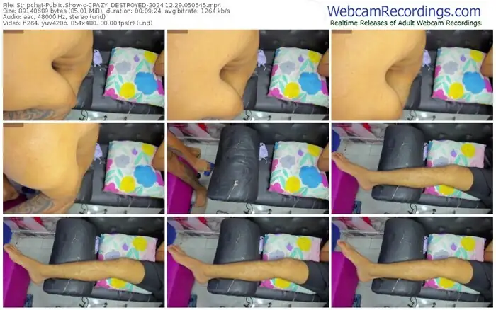stripchat-crazy_destroyed-12-29-2024-05-05-45