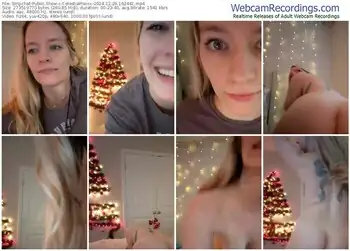 stripchat-celestialfoxxx-12-29-2024-16-24-41