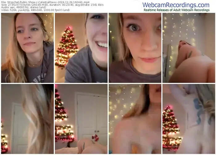 stripchat-celestialfoxxx-12-29-2024-16-24-41