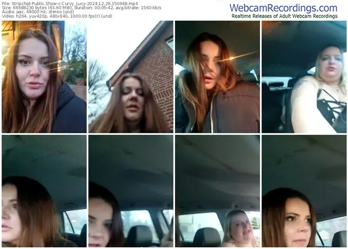 stripchat-curvy_lucy-12-29-2024-15-09-48