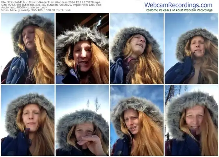 stripchat-goldenflamegoddess-12-29-2024-20-38-58