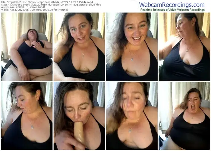 stripchat-iceprincess2bad4u-12-29-2024-11-52-44