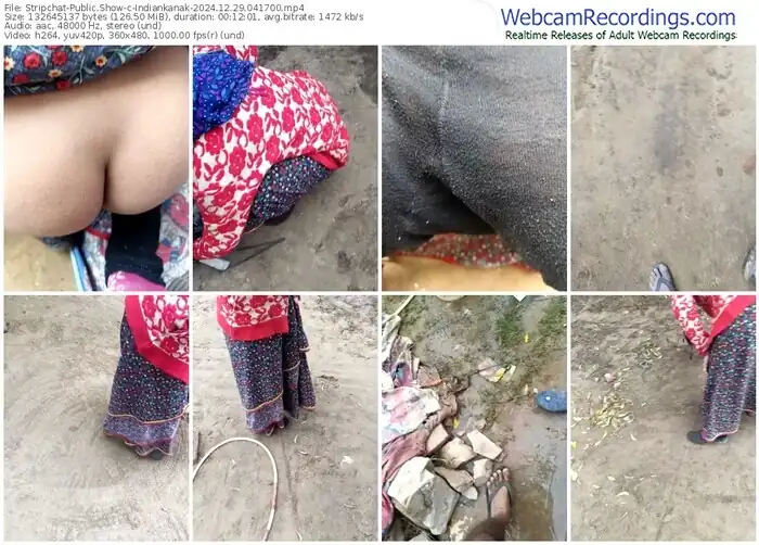 stripchat-indiankanak-12-29-2024-04-17-00