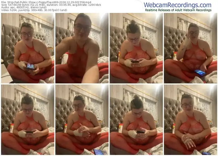 stripchat-poppyplays669-12-29-2024-00-15-58