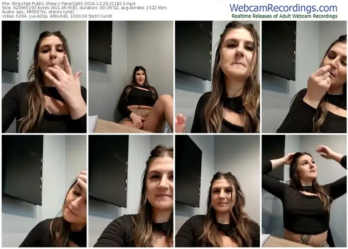 stripchat-taneil2pt0-12-29-2024-21-18-13