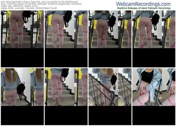 stripchat-two_hot_cats_love-12-29-2024-09-42-29