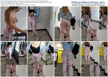 stripchat-two_hot_cats_love-12-29-2024-10-18-39