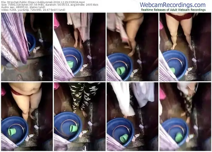 stripchat-bobbyronak-12-29-2024-03-26-34