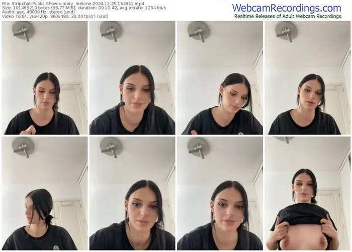 stripchat-mary_melone-12-29-2024-15-29-41