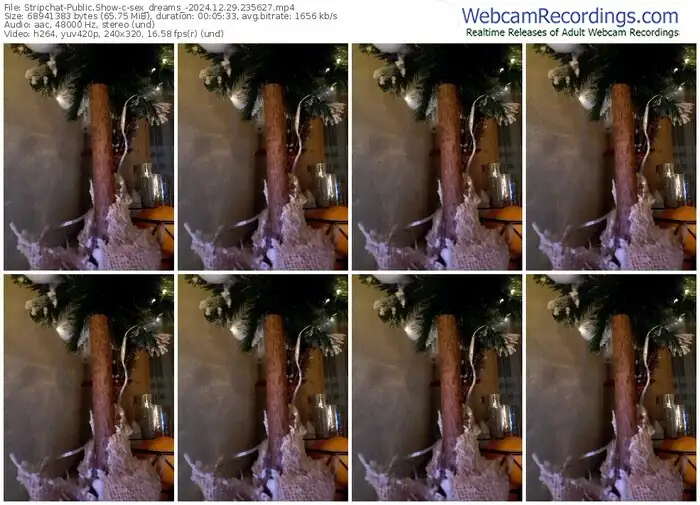 stripchat-sex_dreams_-12-29-2024-23-56-27