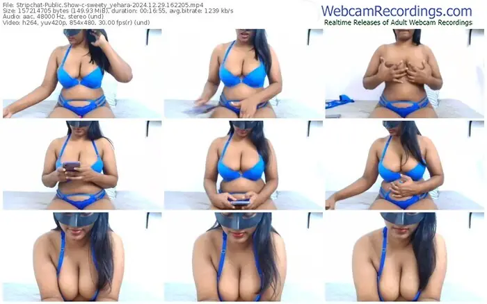 stripchat-sweety_yehara-12-29-2024-16-22-05