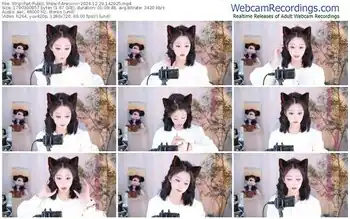 stripchat-arwyn-rr-12-29-2024-14-29-25