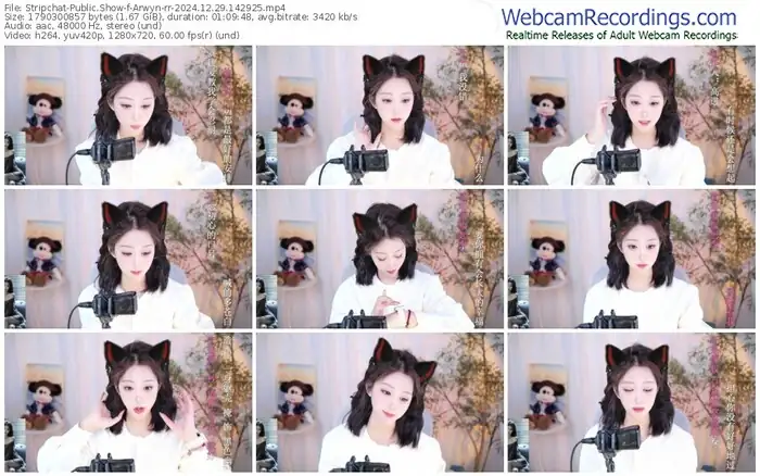 stripchat-arwyn-rr-12-29-2024-14-29-25