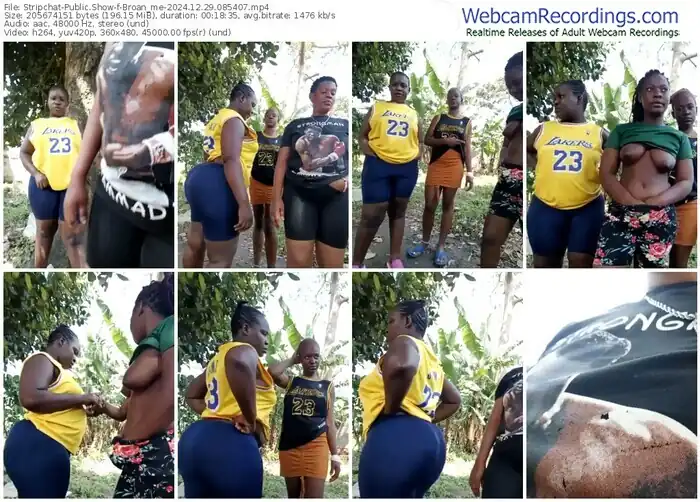 stripchat-broan_me-12-29-2024-08-54-07