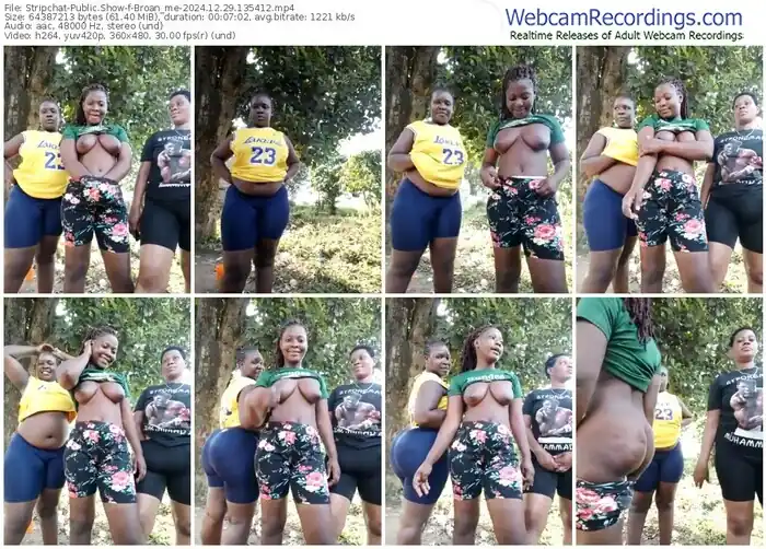 stripchat-broan_me-12-29-2024-13-54-12