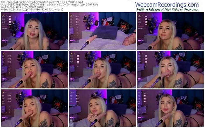 stripchat-dreampussyy-12-29-2024-09-28-38