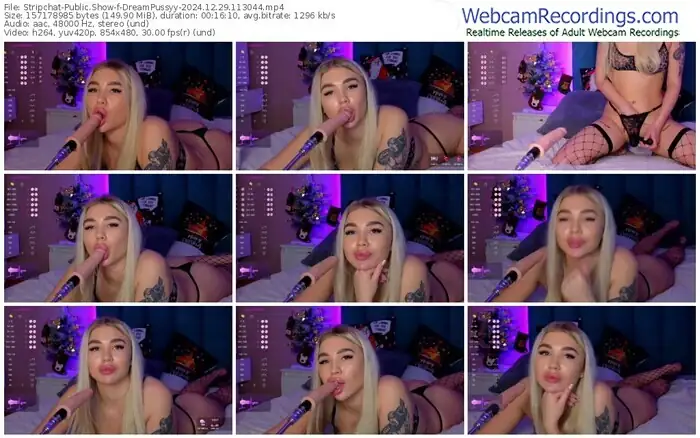stripchat-dreampussyy-12-29-2024-11-30-44
