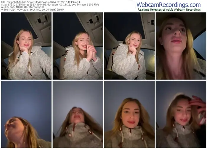 stripchat-evieevans-12-29-2024-15-48-43