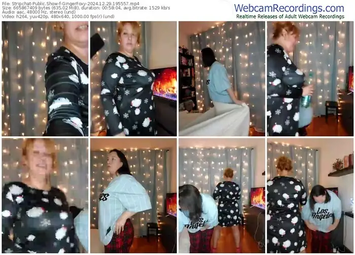 stripchat-gingerfoxy-12-29-2024-19-55-57